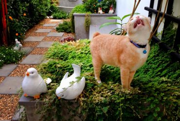 Cover_image_Garden-for-Pets_สวนรัก-สัตว์เลิฟ-SCG-Experience-(1)